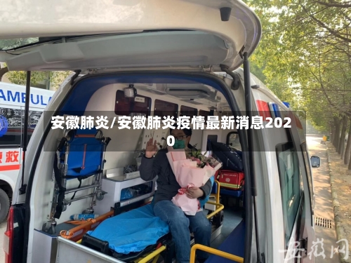 安徽肺炎/安徽肺炎疫情最新消息2020-第2张图片