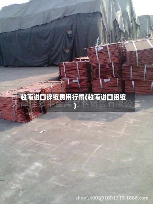 越南进口锌锭费用行情(越南进口铝锭)-第2张图片