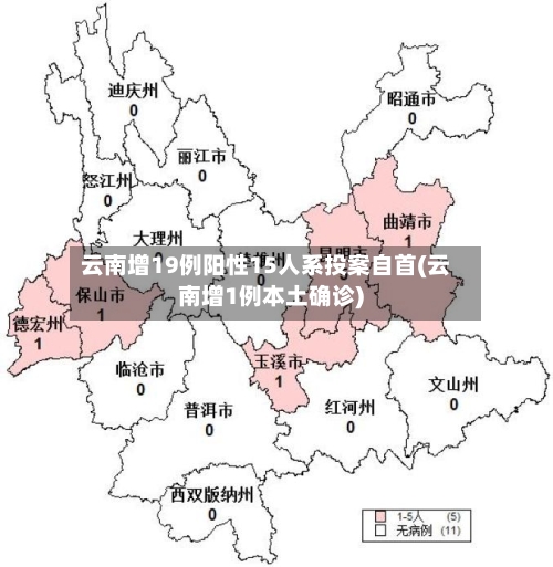 云南增19例阳性15人系投案自首(云南增1例本土确诊)