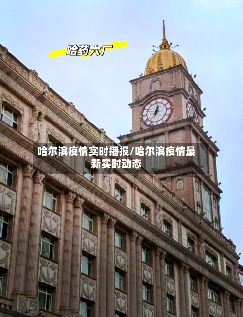 哈尔滨疫情实时播报/哈尔滨疫情最新实时动态