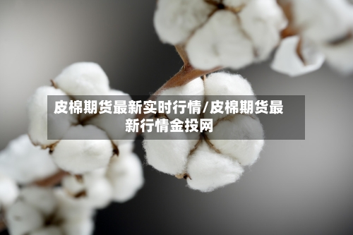 皮棉期货最新实时行情/皮棉期货最新行情金投网-第3张图片