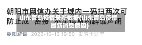 山东青岛疫情最新数据(山东青岛疫情最新消息原因)