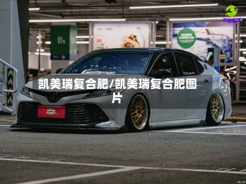 凯美瑞复合肥/凯美瑞复合肥图片
