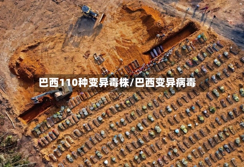 巴西110种变异毒株/巴西变异病毒