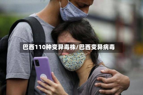 巴西110种变异毒株/巴西变异病毒-第3张图片