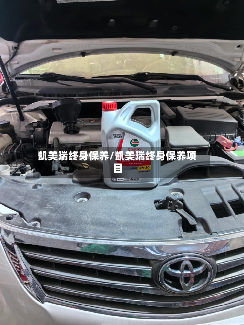 凯美瑞终身保养/凯美瑞终身保养项目