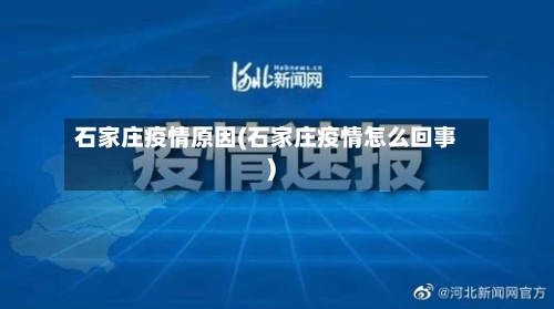 石家庄疫情原因(石家庄疫情怎么回事)