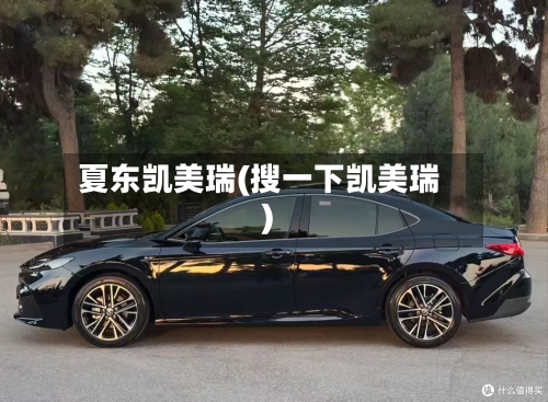夏东凯美瑞(搜一下凯美瑞)