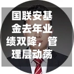 国联安基金去年业绩双降，管理层动荡引治理隐忧-第3张图片