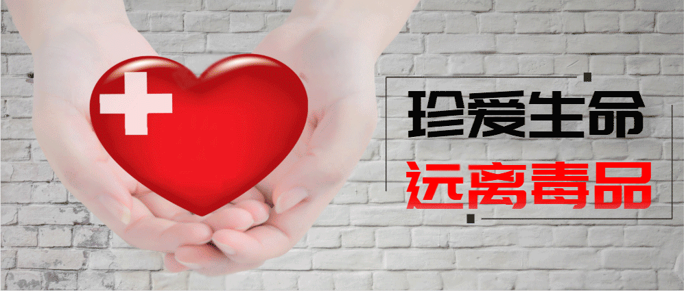 新冠状病毒全国疫情/新冠状病毒全国疫情动态-第2张图片