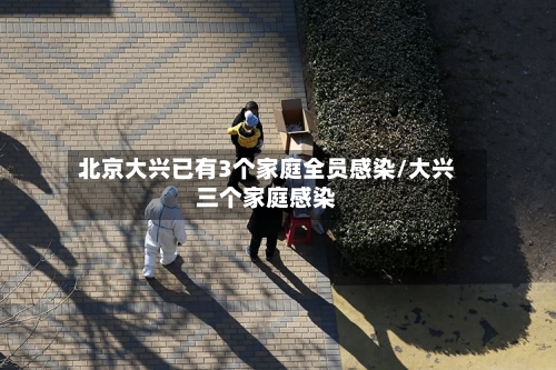 北京大兴已有3个家庭全员感染/大兴三个家庭感染-第3张图片