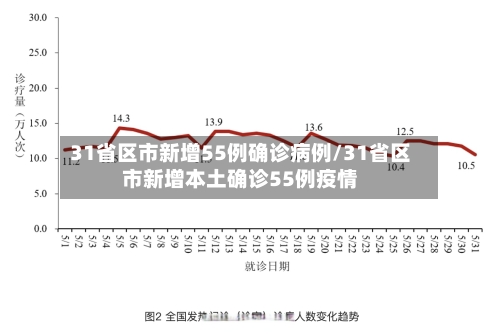 31省区市新增55例确诊病例/31省区市新增本土确诊55例疫情-第2张图片
