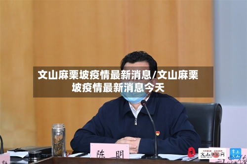 文山麻栗坡疫情最新消息/文山麻栗坡疫情最新消息今天-第2张图片