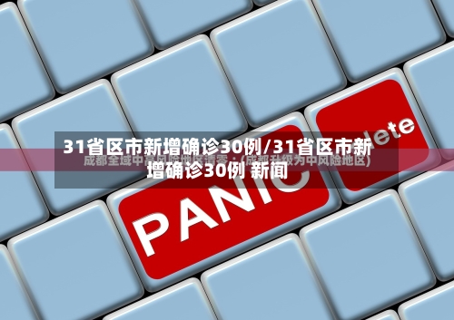 31省区市新增确诊30例/31省区市新增确诊30例 新闻