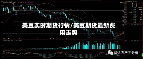 美豆实时期货行情/美豆期货最新费用走势