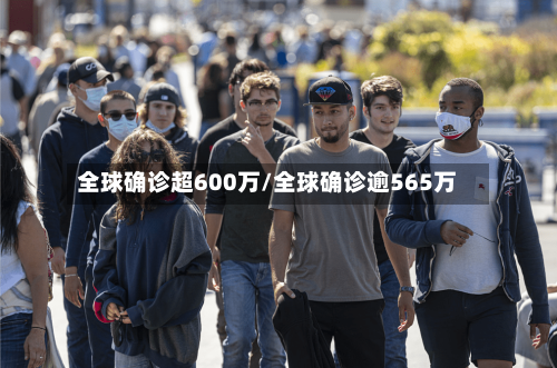 全球确诊超600万/全球确诊逾565万