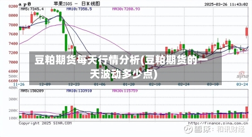 豆粕期货每天行情分析(豆粕期货的一天波动多少点)