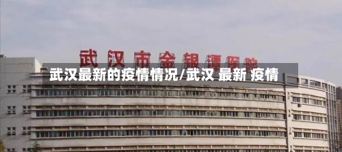 武汉最新的疫情情况/武汉 最新 疫情