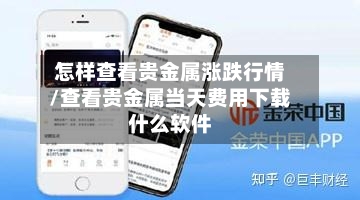 怎样查看贵金属涨跌行情/查看贵金属当天费用下载什么软件