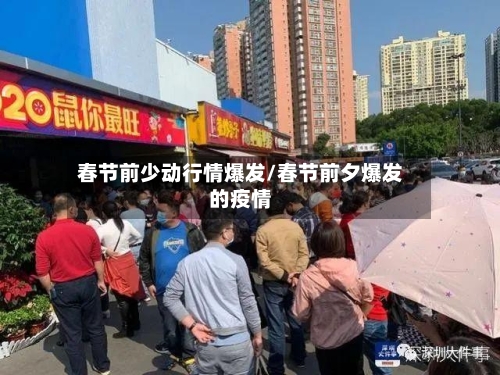 春节前少动行情爆发/春节前夕爆发的疫情
