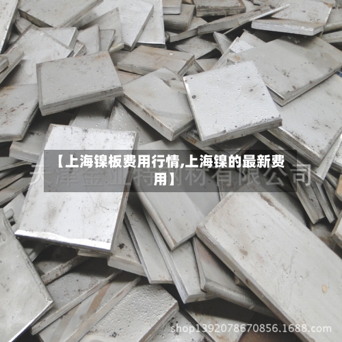 【上海镍板费用行情,上海镍的最新费用】