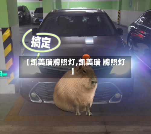 【凯美瑞牌照灯,凯美瑞 牌照灯】