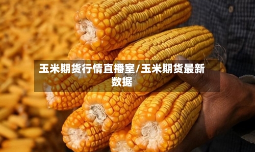 玉米期货行情直播室/玉米期货最新数据