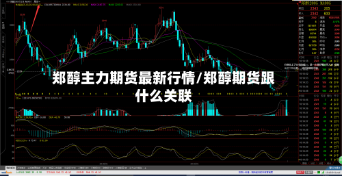 郑醇主力期货最新行情/郑醇期货跟什么关联