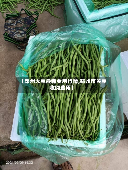 【邳州大豆最新费用行情,邳州市黄豆收购费用】