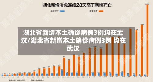 湖北省新增本土确诊病例3例均在武汉/湖北省新增本土确诊病例3例 均在武汉