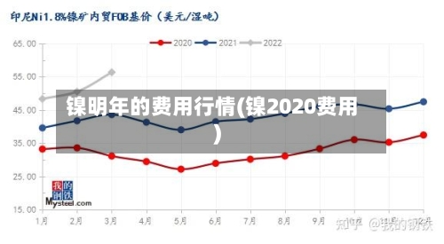 镍明年的费用行情(镍2020费用)