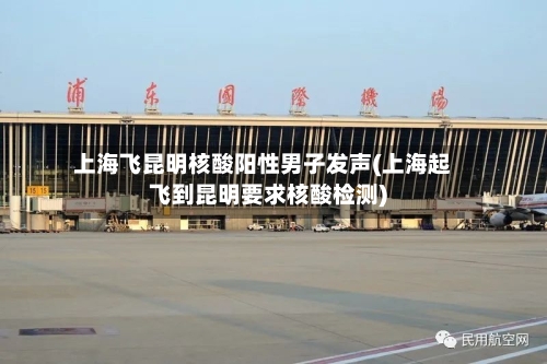 上海飞昆明核酸阳性男子发声(上海起飞到昆明要求核酸检测)