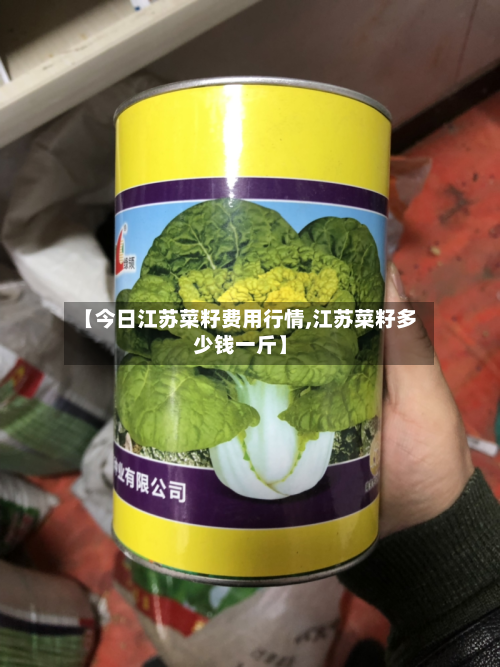 【今日江苏菜籽费用行情,江苏菜籽多少钱一斤】