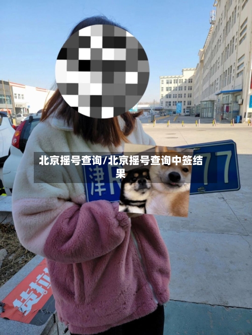 北京摇号查询/北京摇号查询中签结果