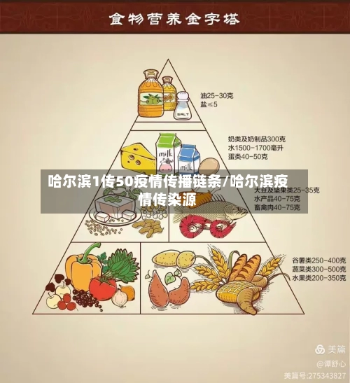 哈尔滨1传50疫情传播链条/哈尔滨疫情传染源