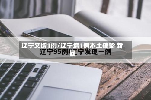 辽宁又增1例/辽宁增1例本土确诊 新闻