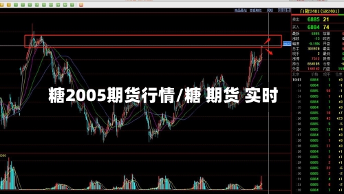 糖2005期货行情/糖 期货 实时