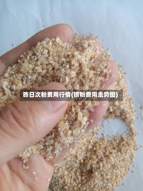昨日次粉费用行情(铹粉费用走势图)