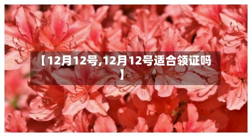 【12月12号,12月12号适合领证吗】