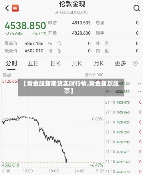 【黄金股指期货实时行情,黄金指数股票】