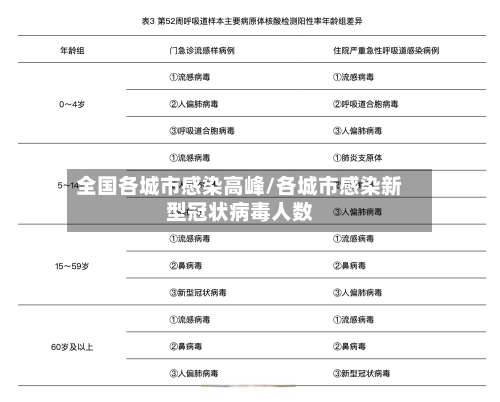 全国各城市感染高峰/各城市感染新型冠状病毒人数