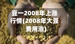 豆一2008年上涨行情(2008年大豆费用涨)