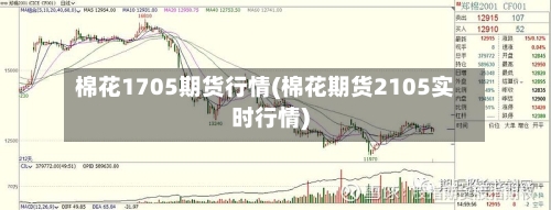 棉花1705期货行情(棉花期货2105实时行情)