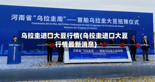 乌拉圭进口大豆行情(乌拉圭进口大豆行情最新消息)