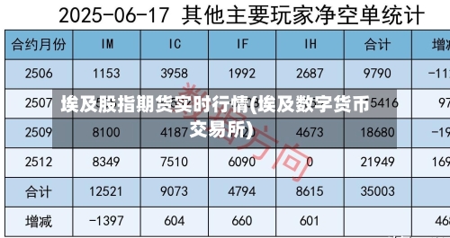 埃及股指期货实时行情(埃及数字货币交易所)