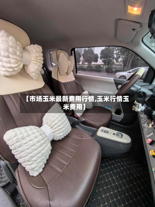 【市场玉米最新费用行情,玉米行情玉米费用】