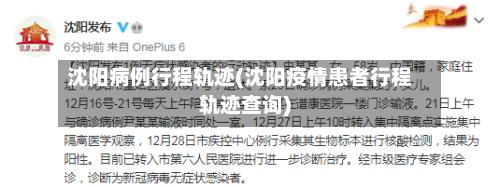 沈阳病例行程轨迹(沈阳疫情患者行程轨迹查询)
