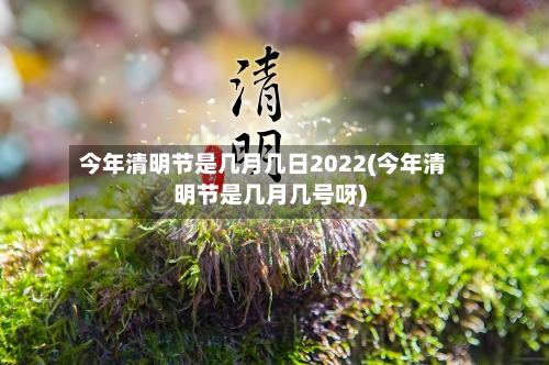 今年清明节是几月几日2022(今年清明节是几月几号呀)