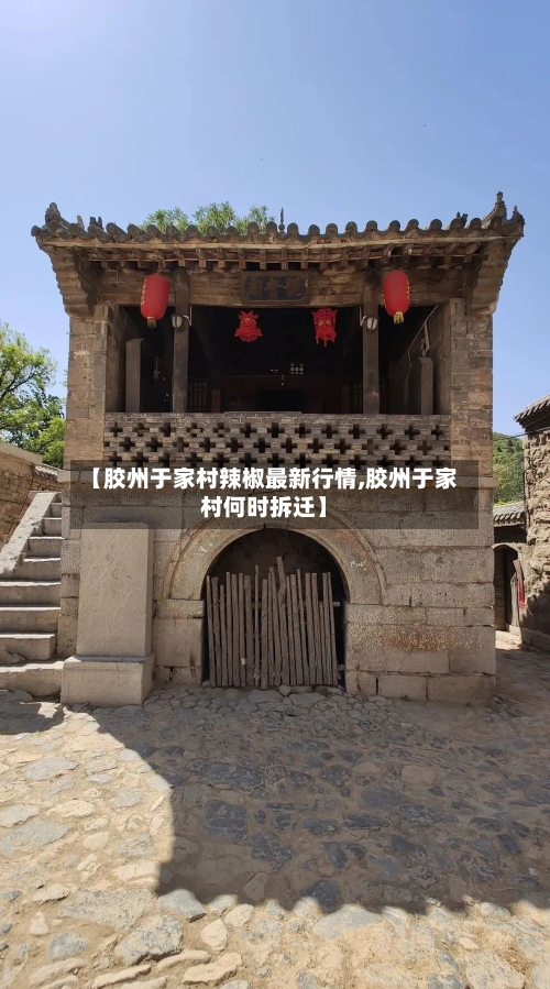 【胶州于家村辣椒最新行情,胶州于家村何时拆迁】