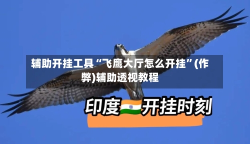 辅助开挂工具“飞鹰大厅怎么开挂”(作弊)辅助透视教程